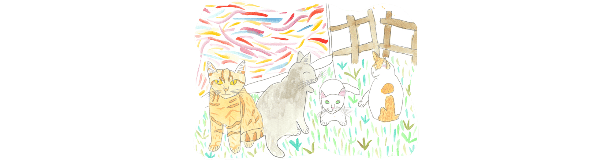 メンバーの声ページメインイメージ