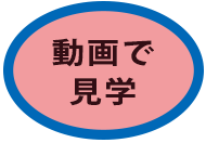 動画で見学
